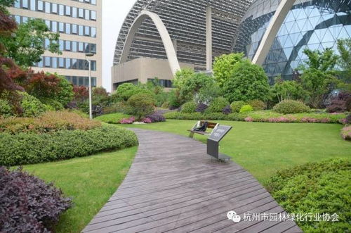 2016年度杭州市优秀园林绿化工程综合组金奖 杭州国际博览中心项目屋面园林绿化工程